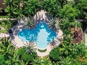 a close up of a plant in a garden