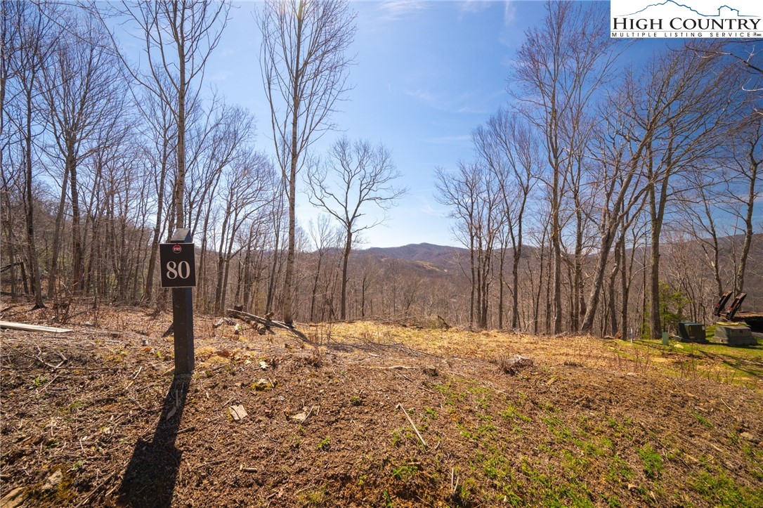 Lot 80 Bear Paw Road Elk Park, NC 28622 - Photo 6 of 19