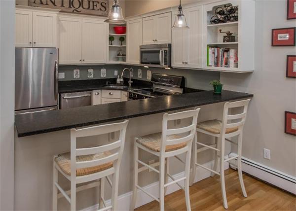 220 West Springfield Street, Unit 2 Boston, MA 02118 - Photo 3 of 6 Gallery Image 3