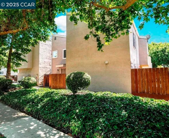 front view of a house with a tree
