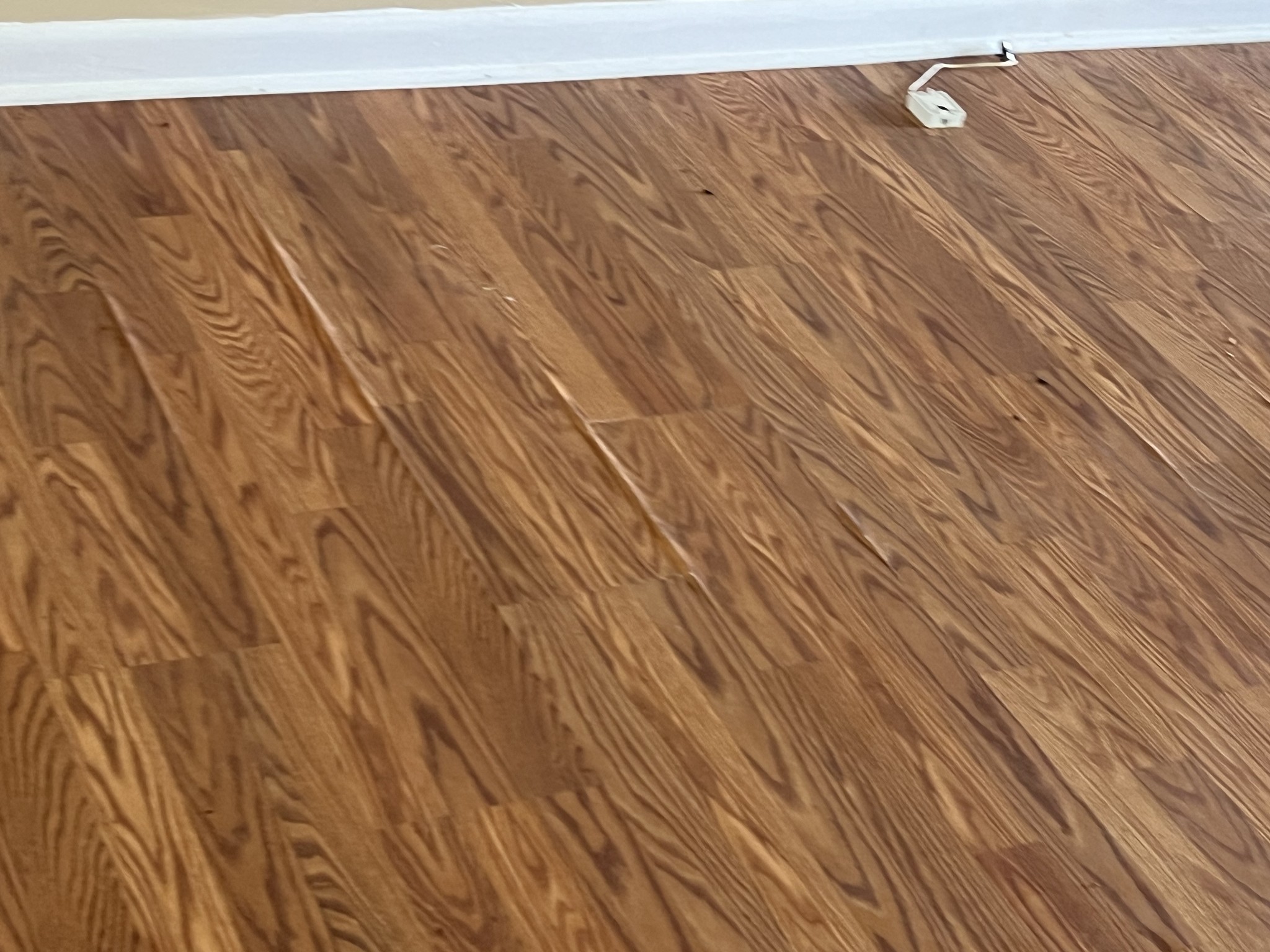 929 Industrial Access Road Pulaski, TN 38478 - Photo 26 of 28 a view of wooden floor