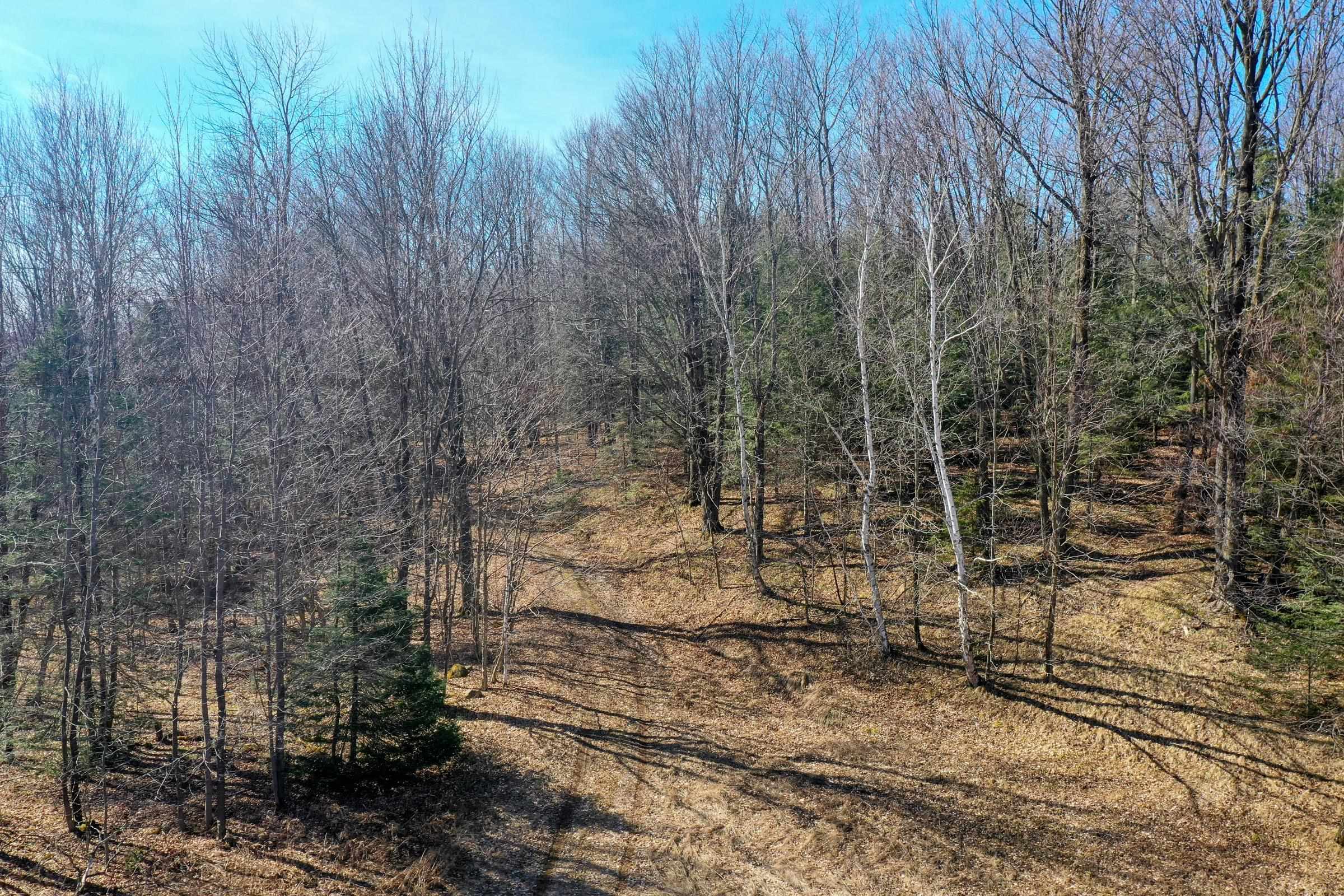 N5317 County Road East Medford, WI 54451 - Photo 15 of 23