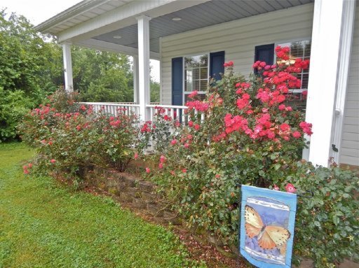 174 Barber Road Corryton, TN 37721 - Photo 3 of 37 Additional Photo