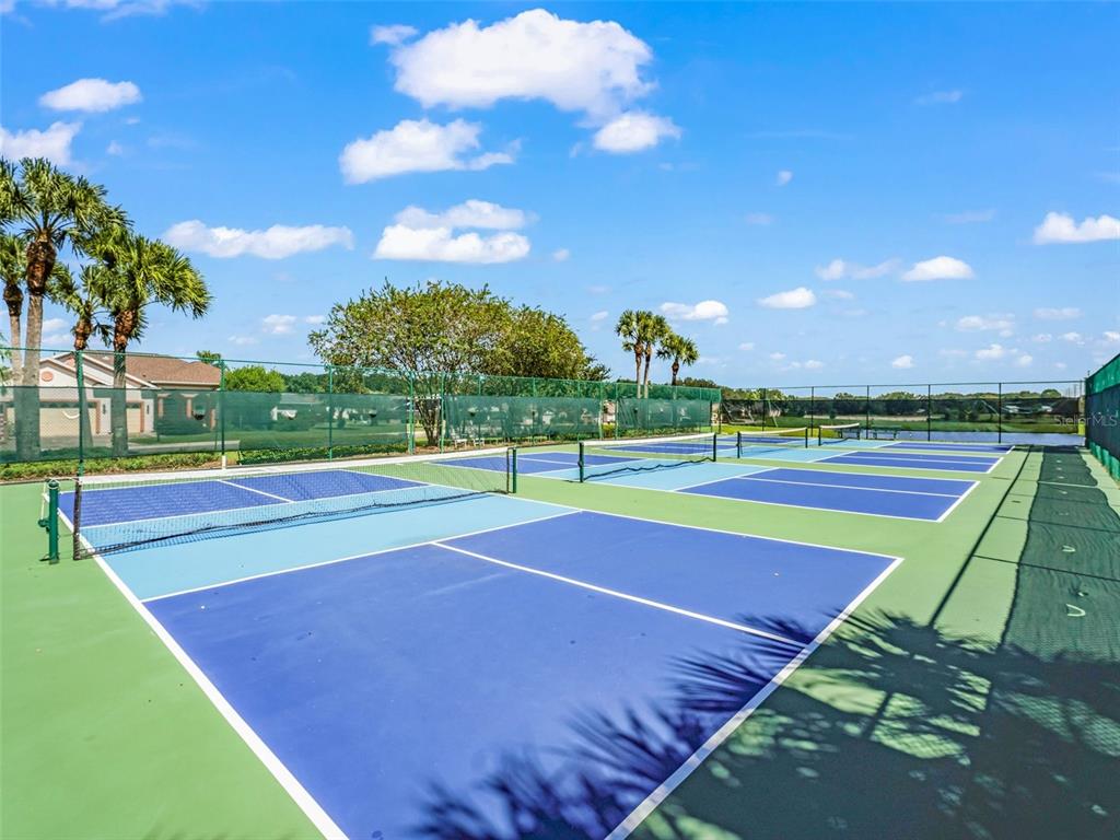 12115 Southeast 175th Loop Summerfield, FL 34491 - Photo 50 of 66