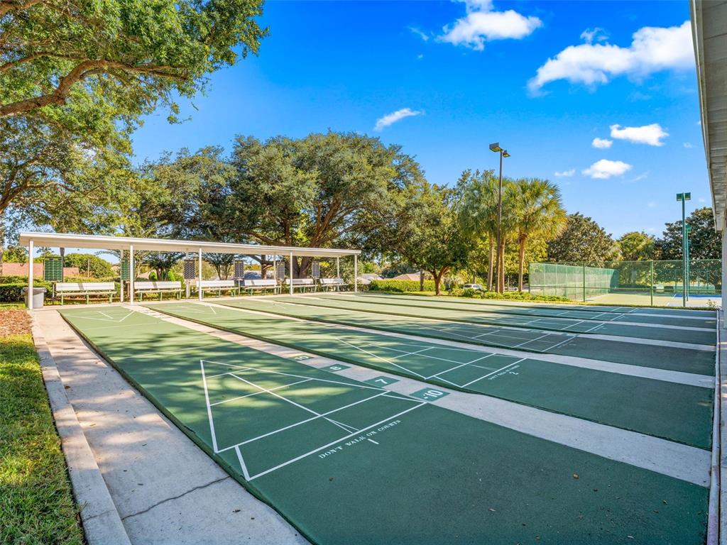 12115 Southeast 175th Loop Summerfield, FL 34491 - Photo 58 of 66