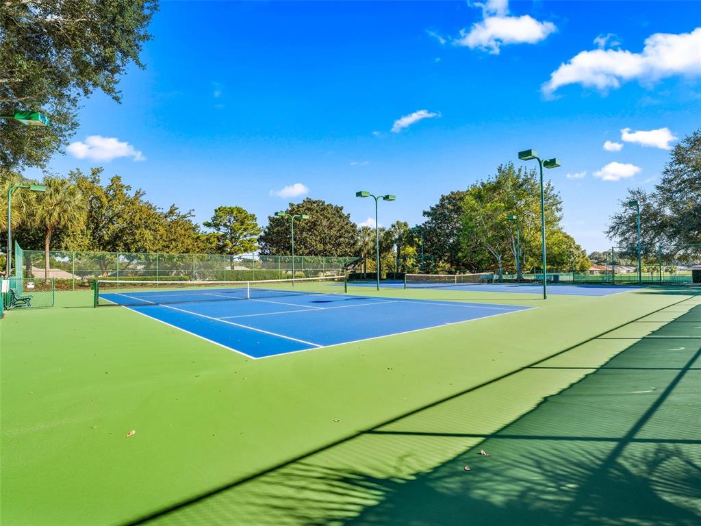 12115 Southeast 175th Loop Summerfield, FL 34491 - Photo 66 of 66