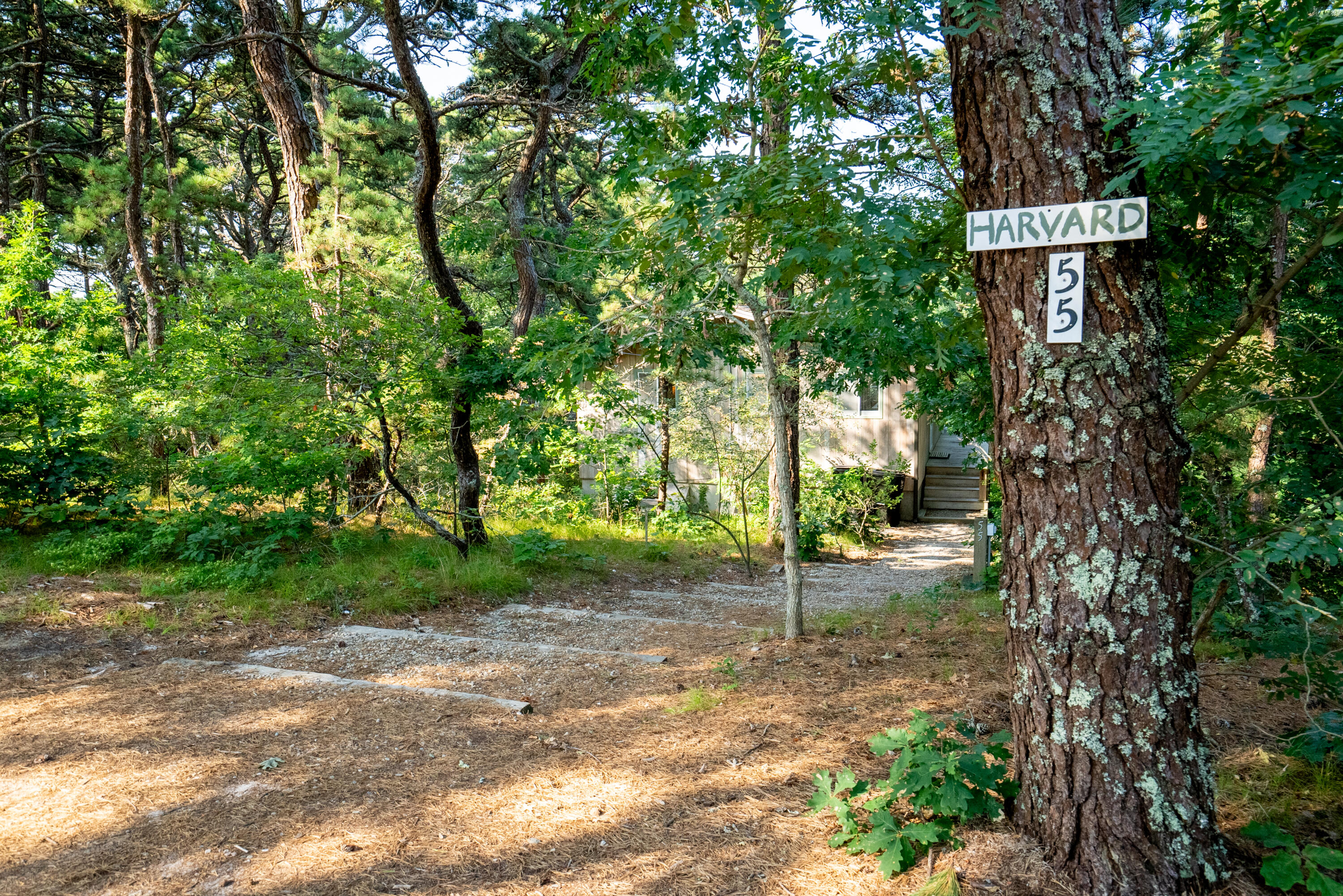 55 Harvard Street Wellfleet, MA 02667 - Photo 2 of 36 55 Harvard St-50