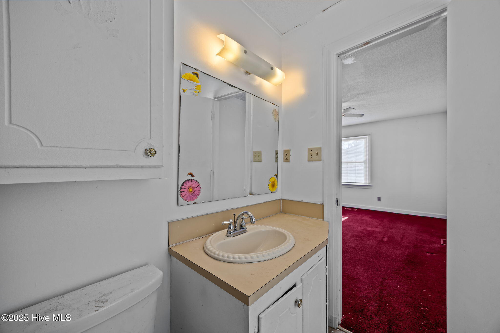 4418 Frog Level Road Winterville, NC 28590 - Photo 25 of 55 Master Bathroom