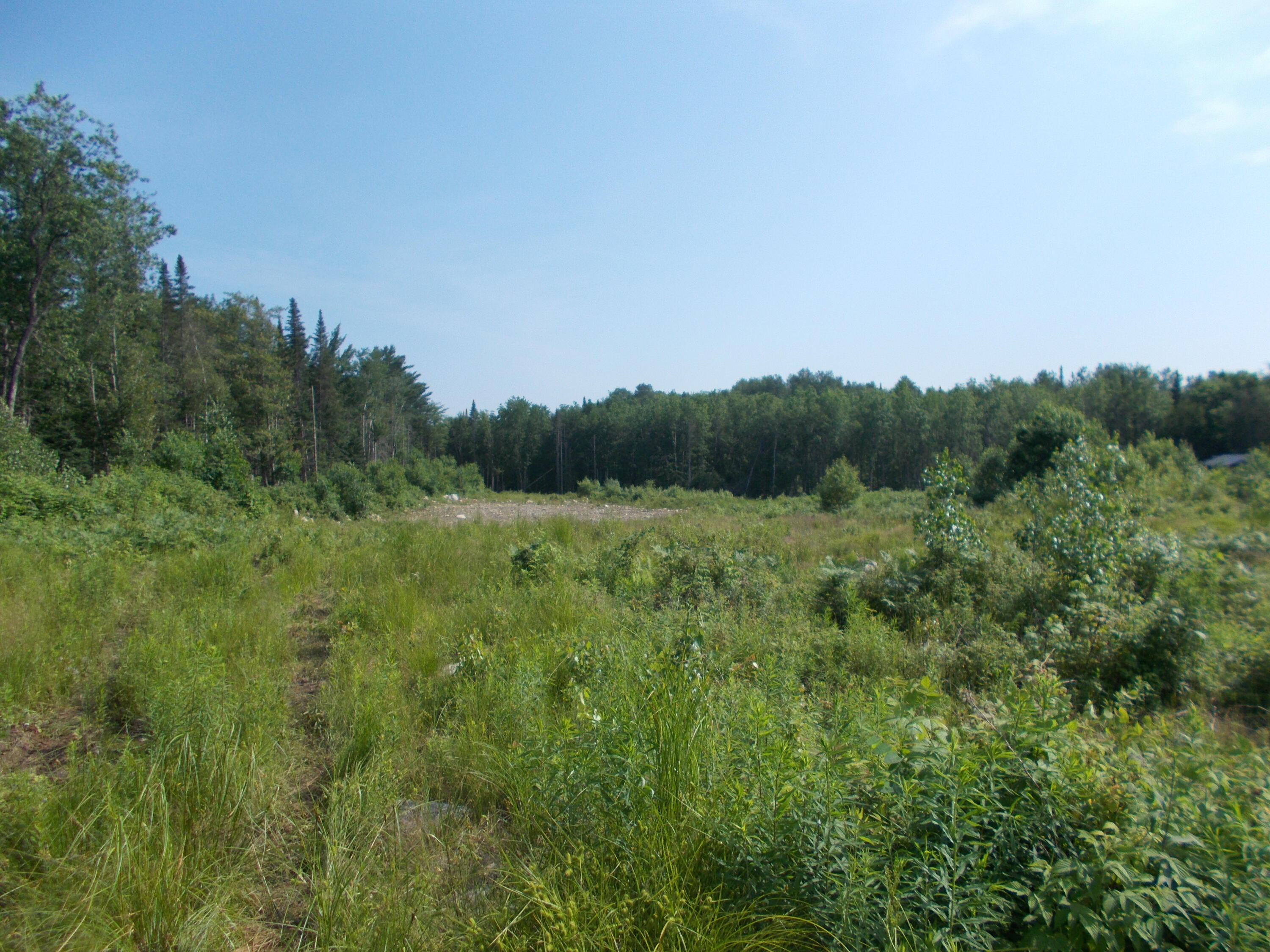 Lot 13 Canaan Road Pittsfield, ME 04967 - Photo 1 of 14 DSCN2521
