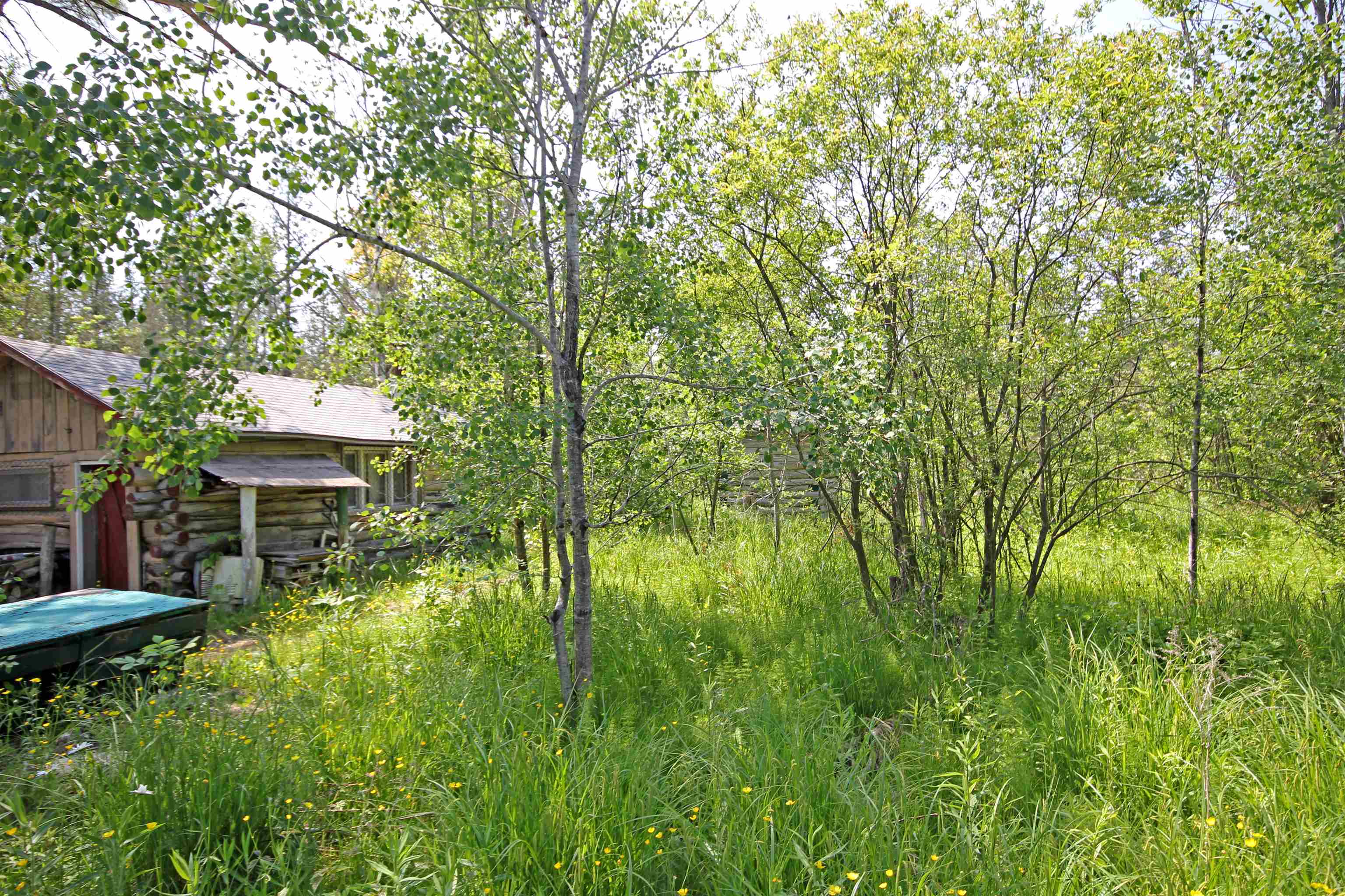 State Road Kalkaska, MI 49646 - Photo 10 of 30 Gallery Image 10