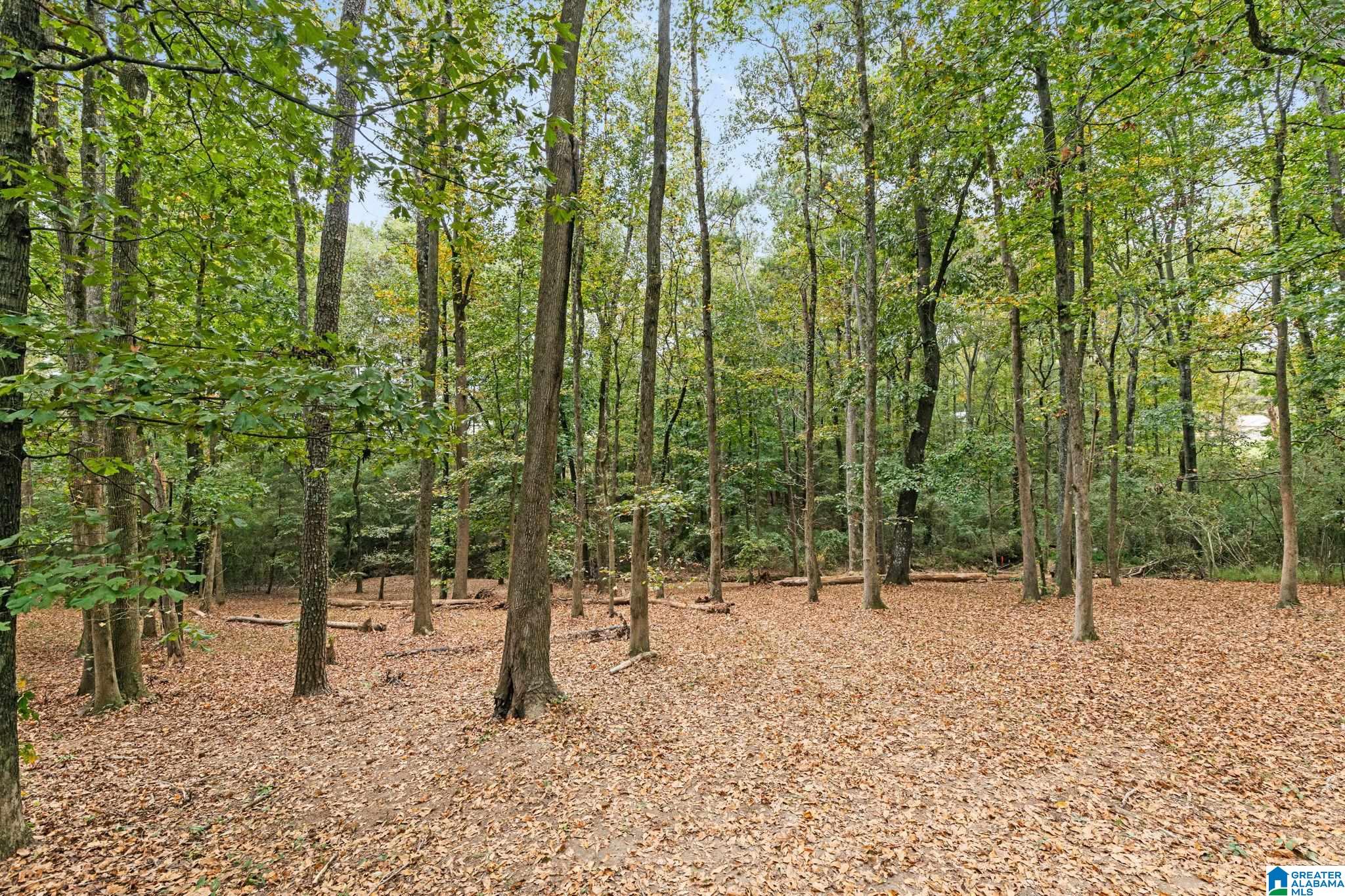 85 County Road 738 Cullman, AL 35055 - Photo 27 of 29