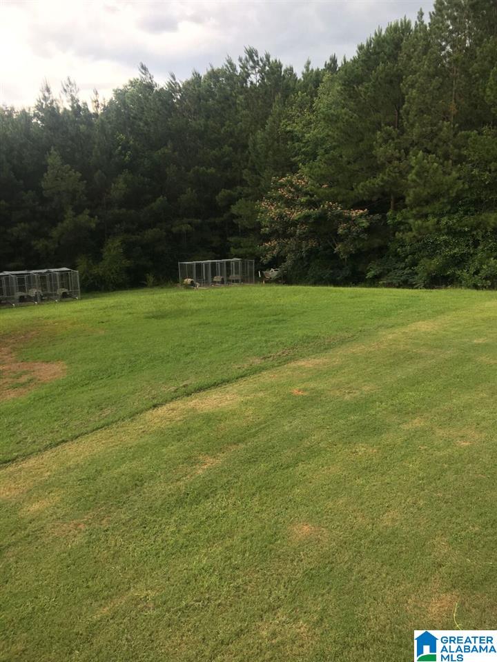 181 Indian Valley Road Sylacauga, AL 35150 - Photo 18 of 20 Gallery Image 18