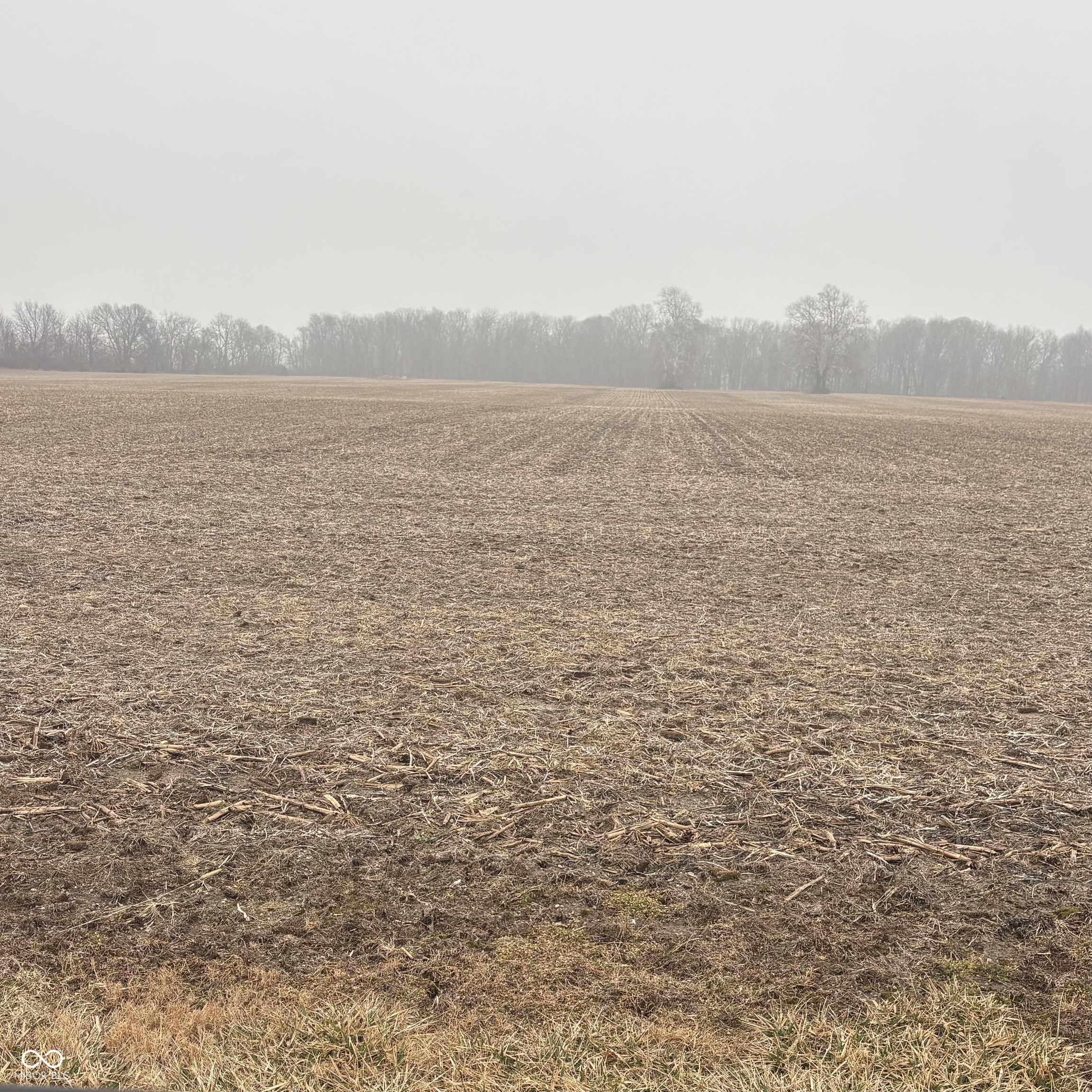 None Oak Ridge Road Sheridan, IN 46069 - Photo 1 of 2 Gallery Image 1