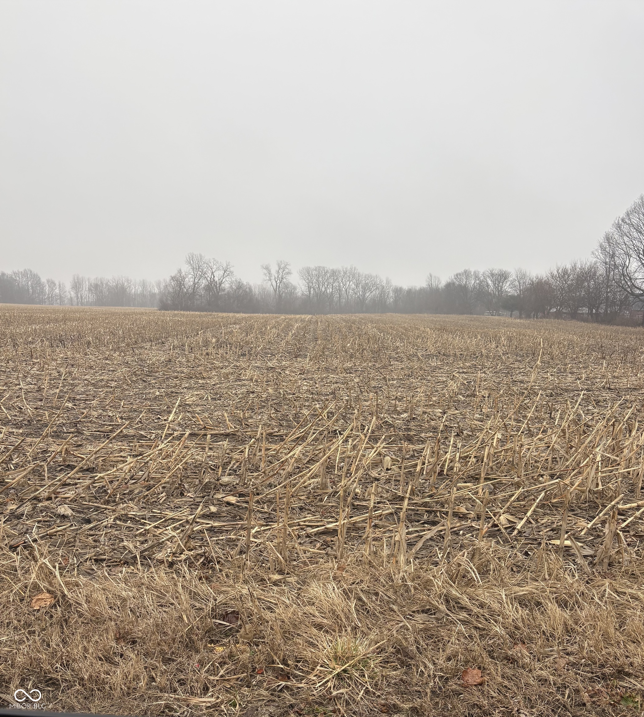 None Oak Ridge Road Sheridan, IN 46069 - Photo 2 of 2 Gallery Image 2