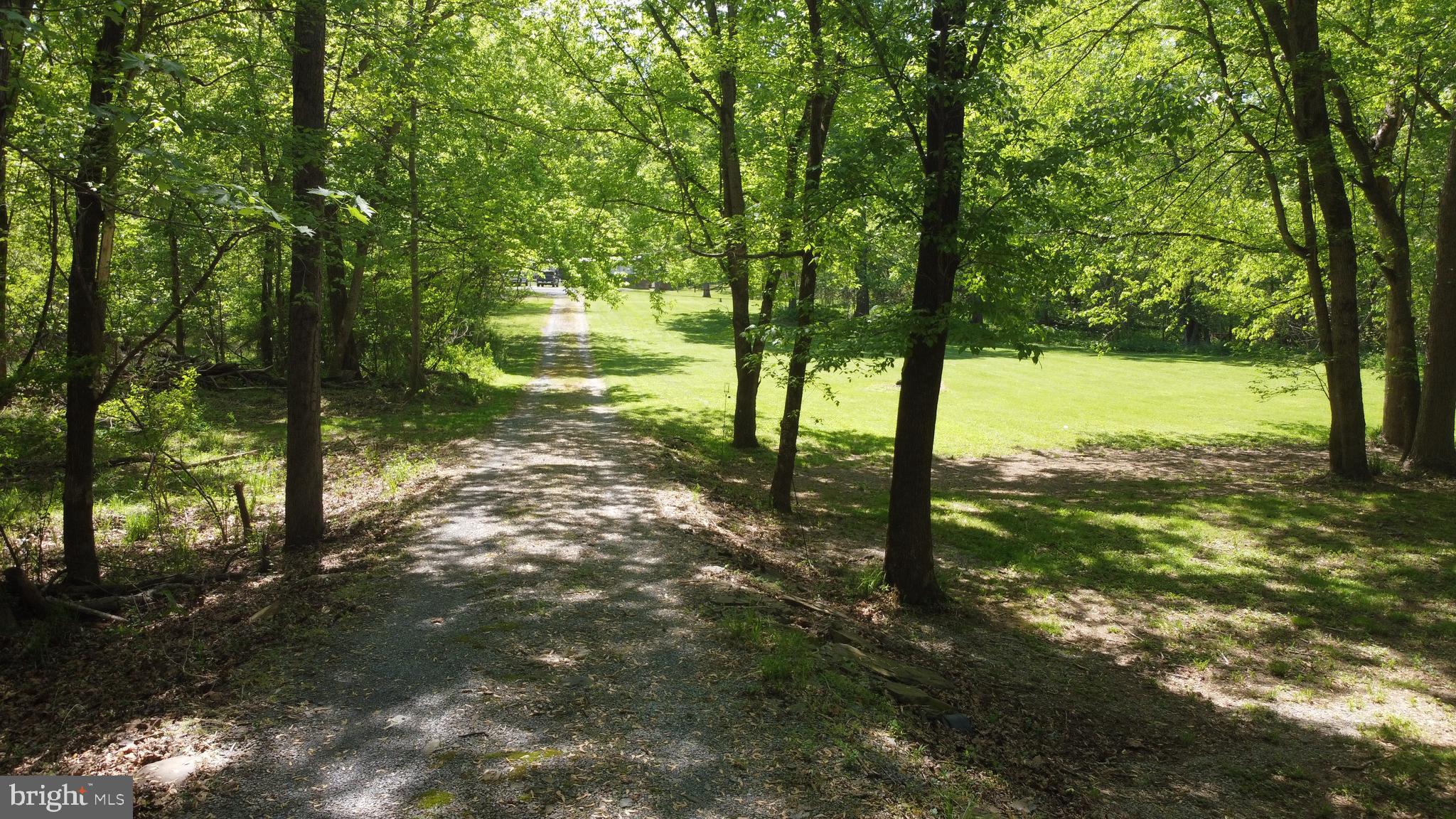 3480 Whitings Neck Road Martinsburg, WV 25404 - Photo 2 of 36 a view of a yard with a tree