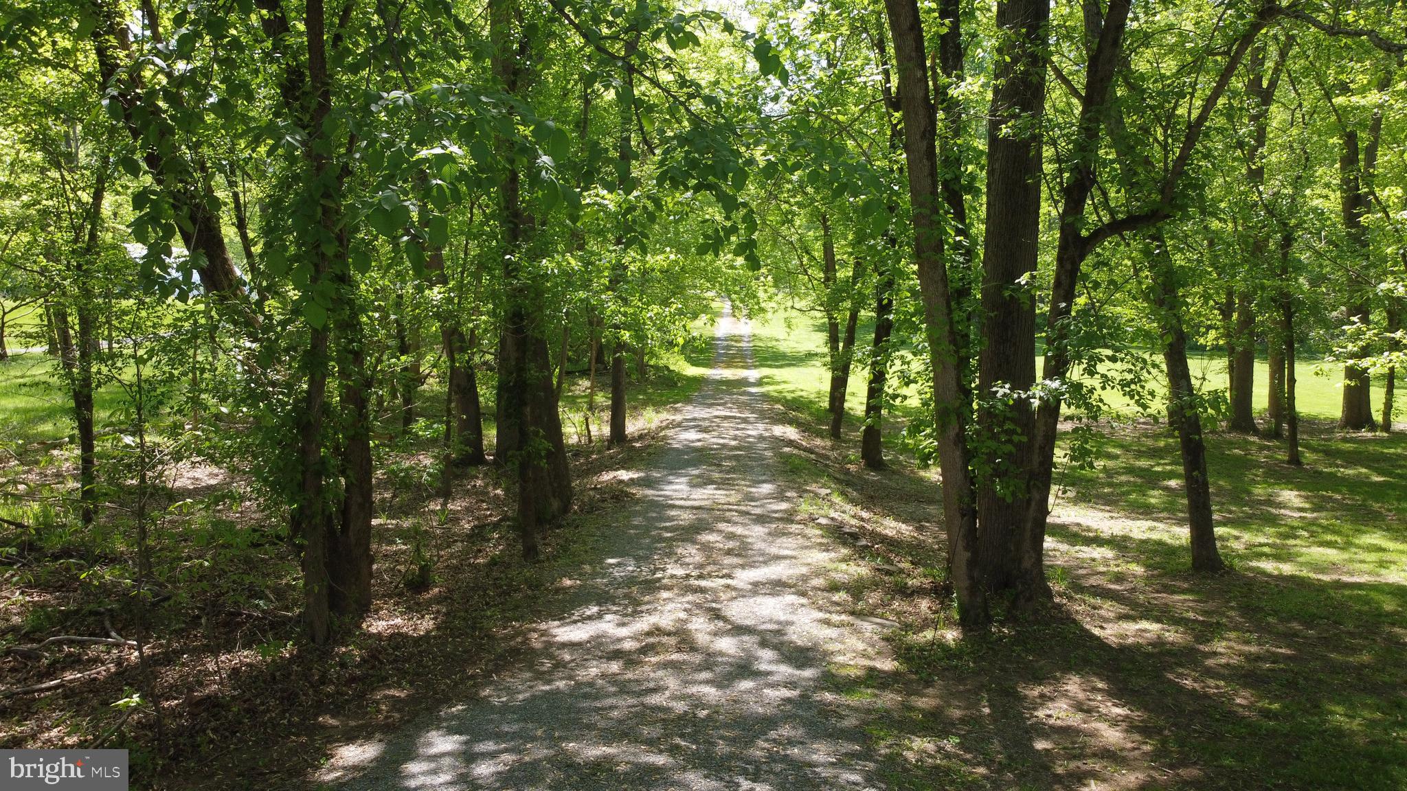 3480 Whitings Neck Road Martinsburg, WV 25404 - Photo 22 of 36 a view of a forest filled with trees