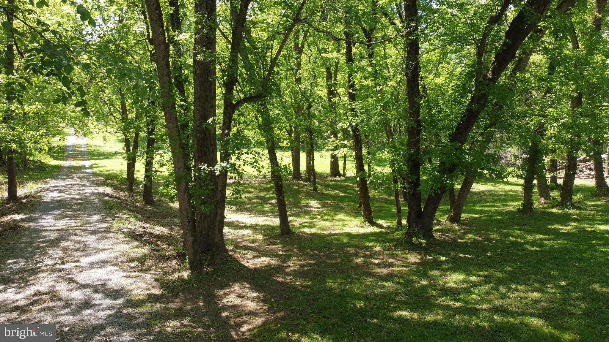 3480 Whitings Neck Road Martinsburg, WV 25404 - Photo 23 of 36 a backyard of a house with lots of green space