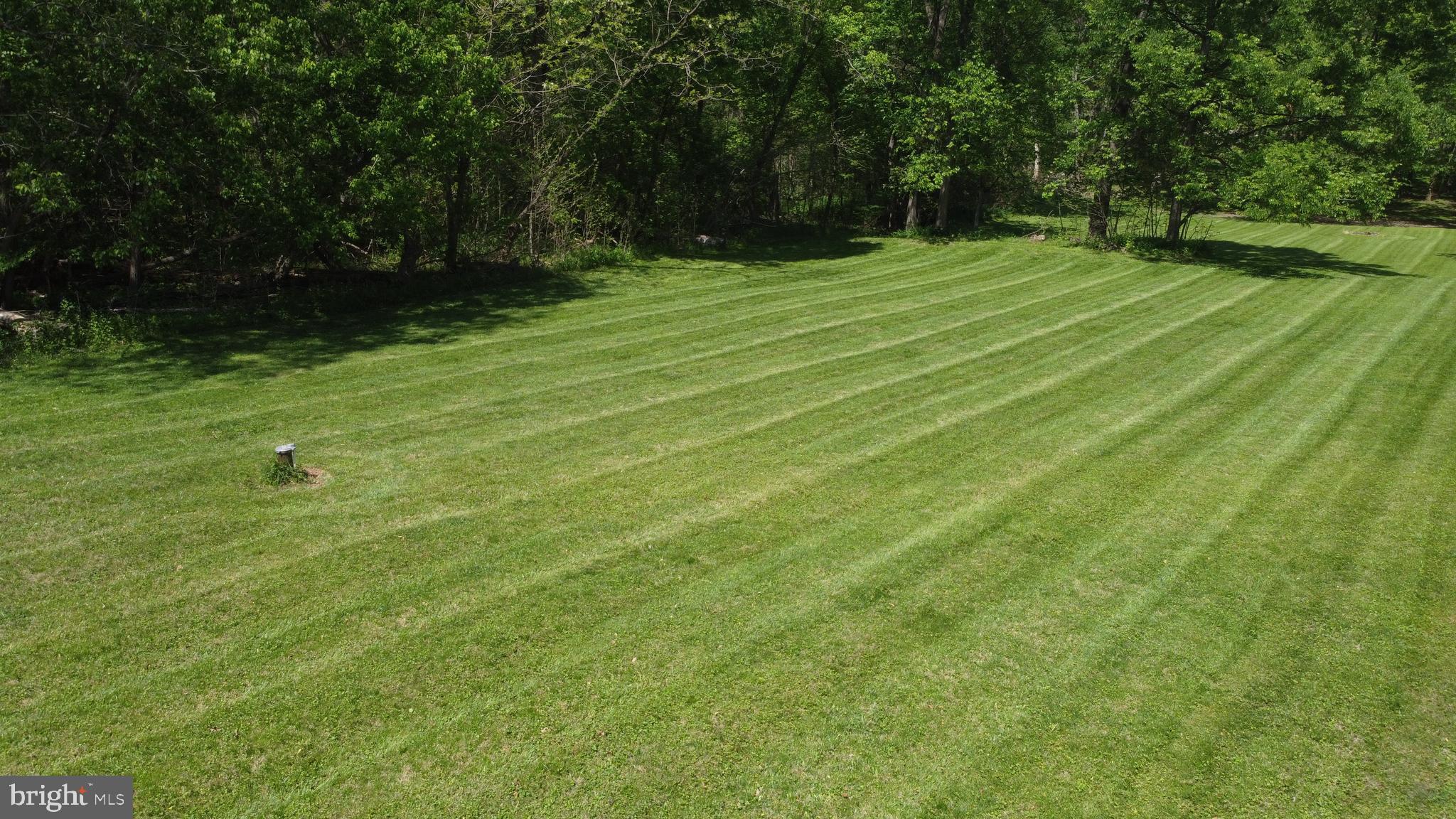 3480 Whitings Neck Road Martinsburg, WV 25404 - Photo 3 of 36 a view of a field with grass