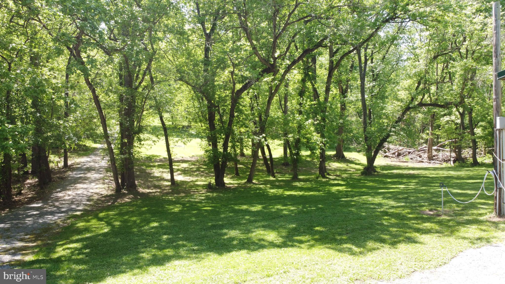 3480 Whitings Neck Road Martinsburg, WV 25404 - Photo 33 of 36 a backyard of a house with lots of green space
