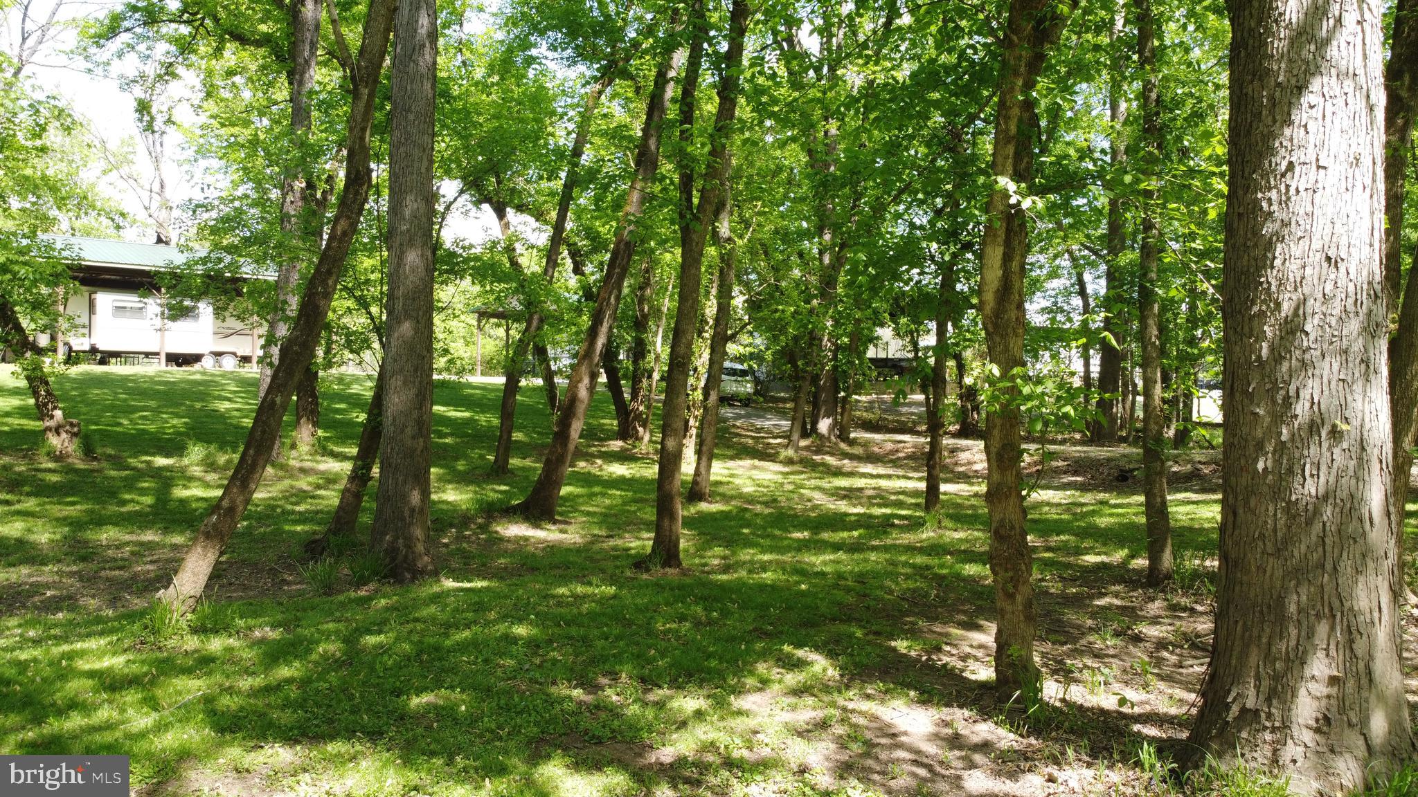 3480 Whitings Neck Road Martinsburg, WV 25404 - Photo 34 of 36 a big yard with lots of green space and trees