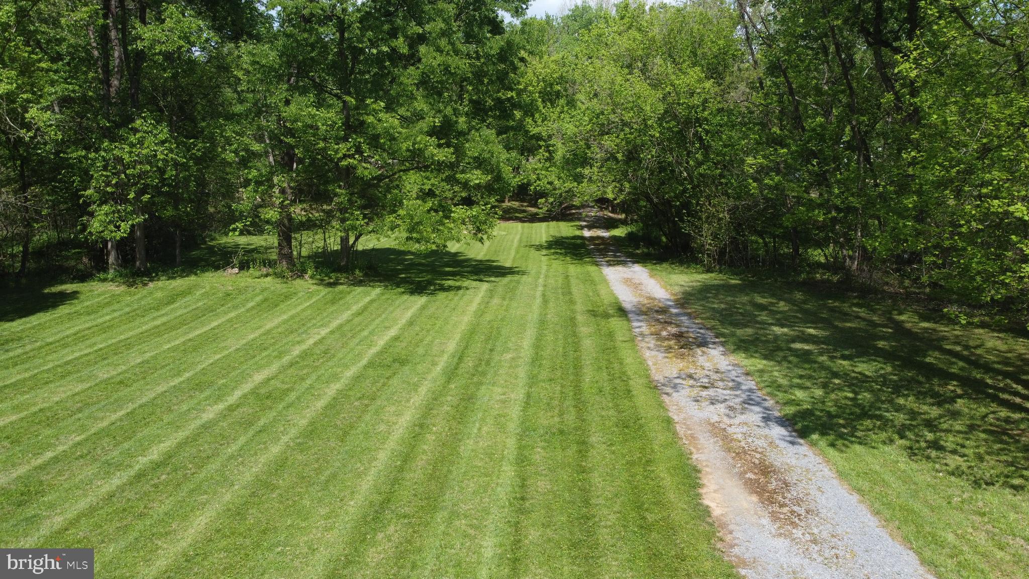 3480 Whitings Neck Road Martinsburg, WV 25404 - Photo 9 of 36 a backyard of a house with lots of green space