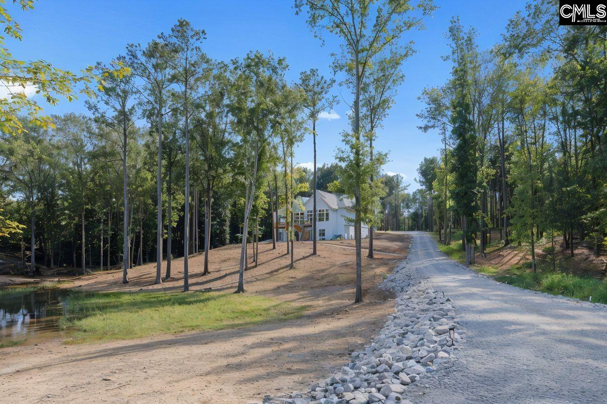 1075 Retreat Way Ridgeway, SC 29130 - Photo 48 of 72