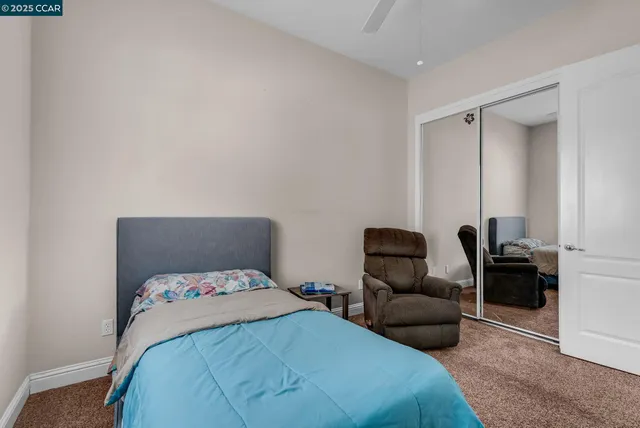 a view of a backyard with palm trees