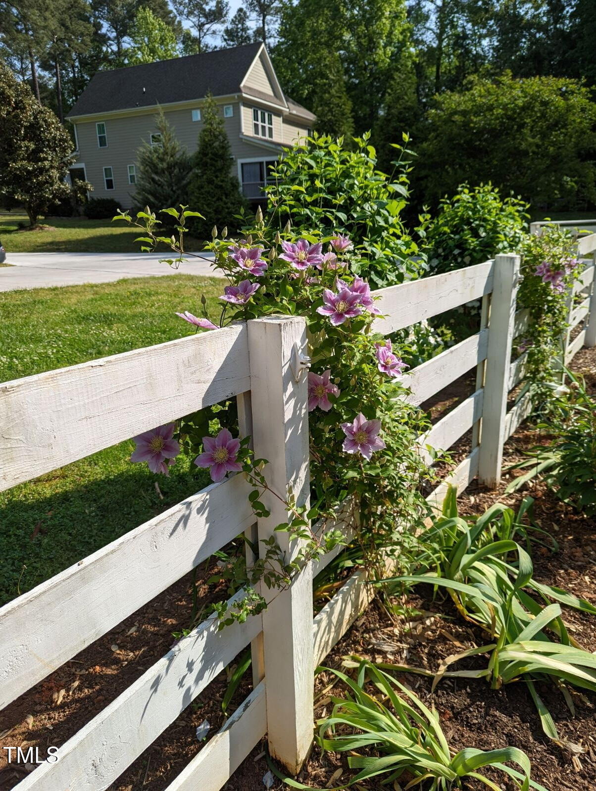 12632 Old Creedmoor Road Raleigh, NC 27613 - Photo 51 of 58 More Perennials!
