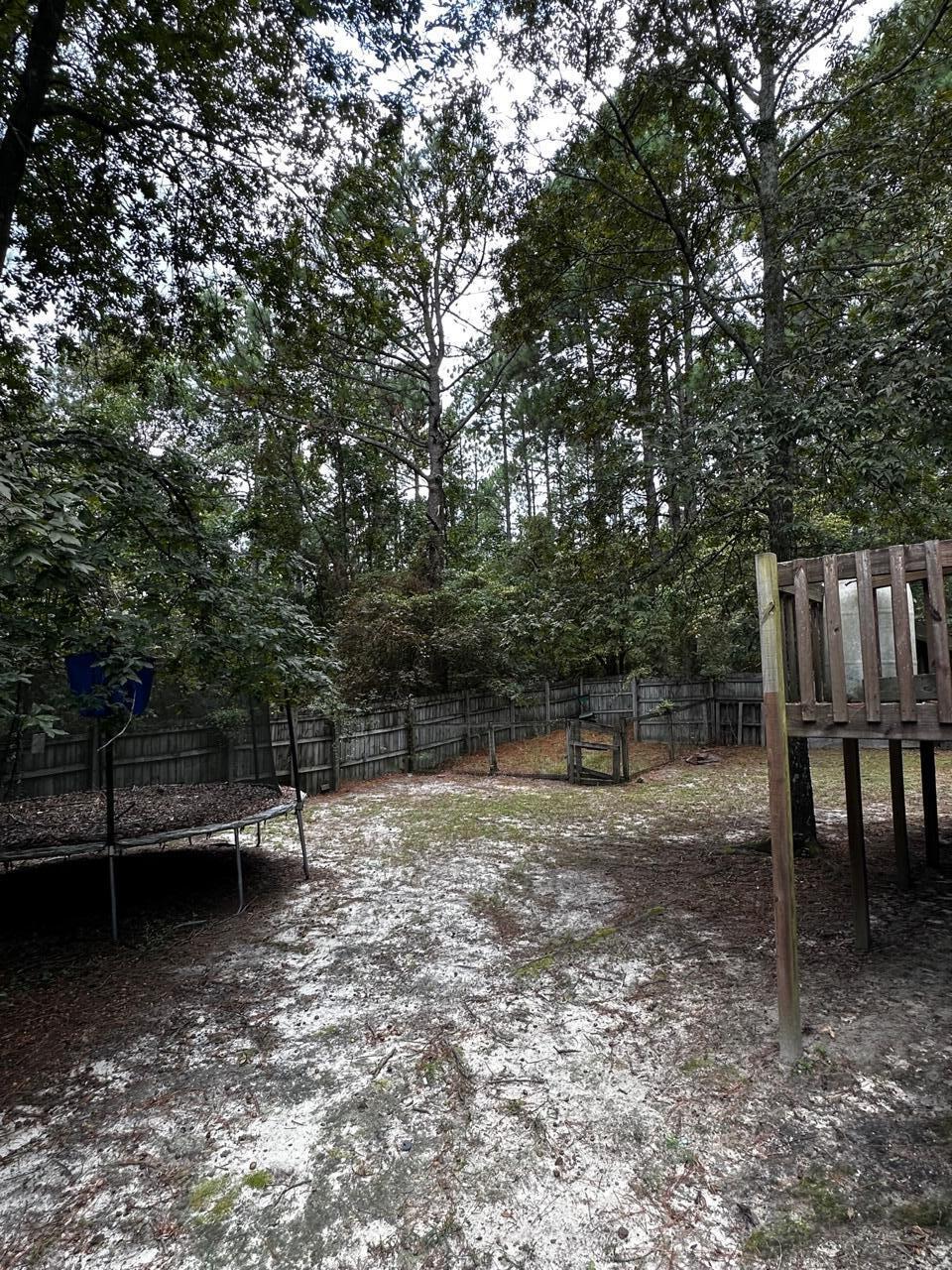 204 McLee Road Lexington, SC 29073 - Photo 20 of 30