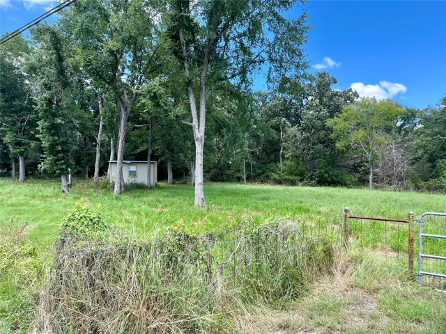 a view of a garden with a tree