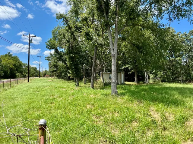 a view of a tree in a yard