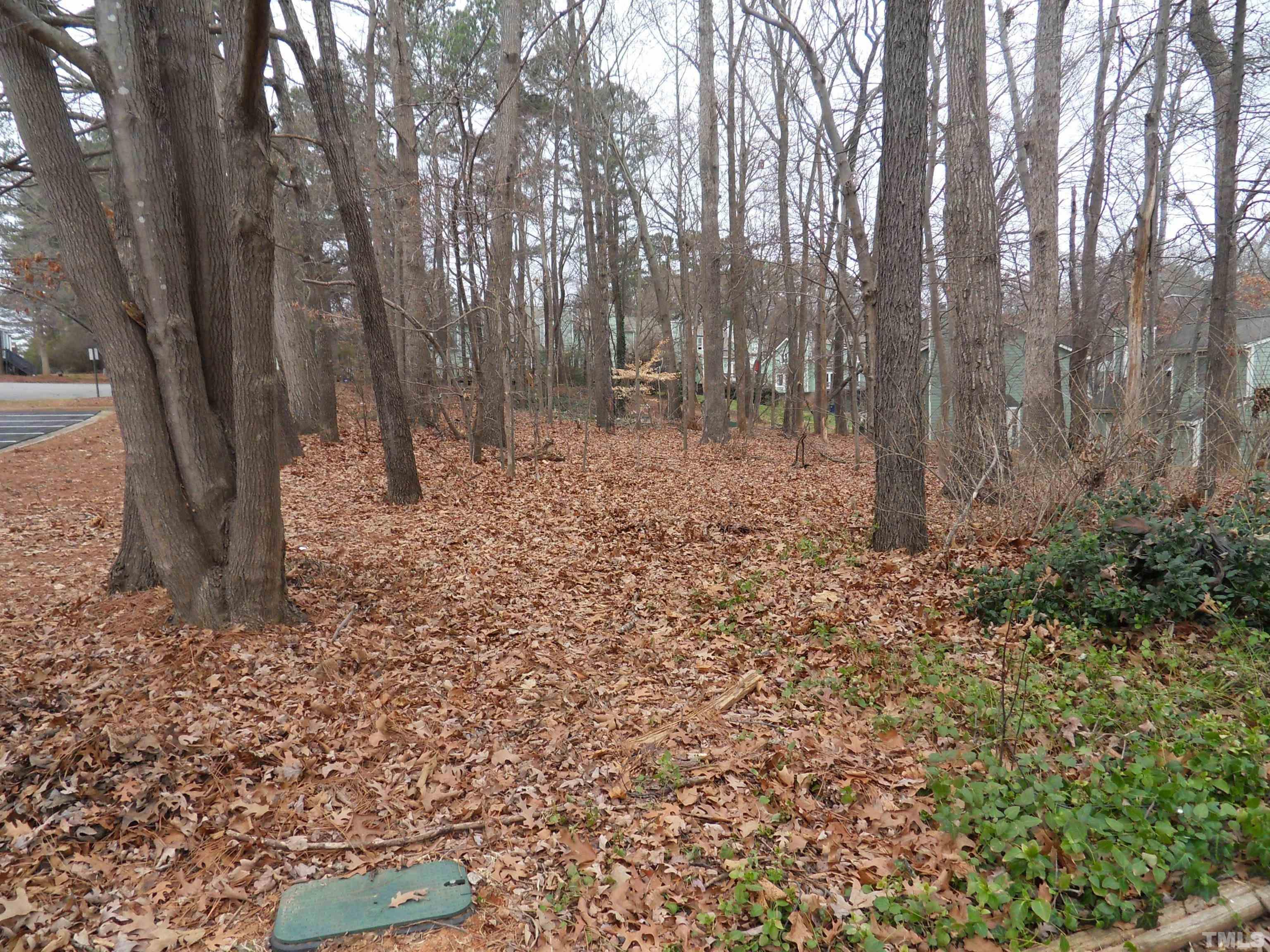 534 Oak Run Drive Raleigh, NC 27606 - Photo 4 of 22 Gallery Image 4