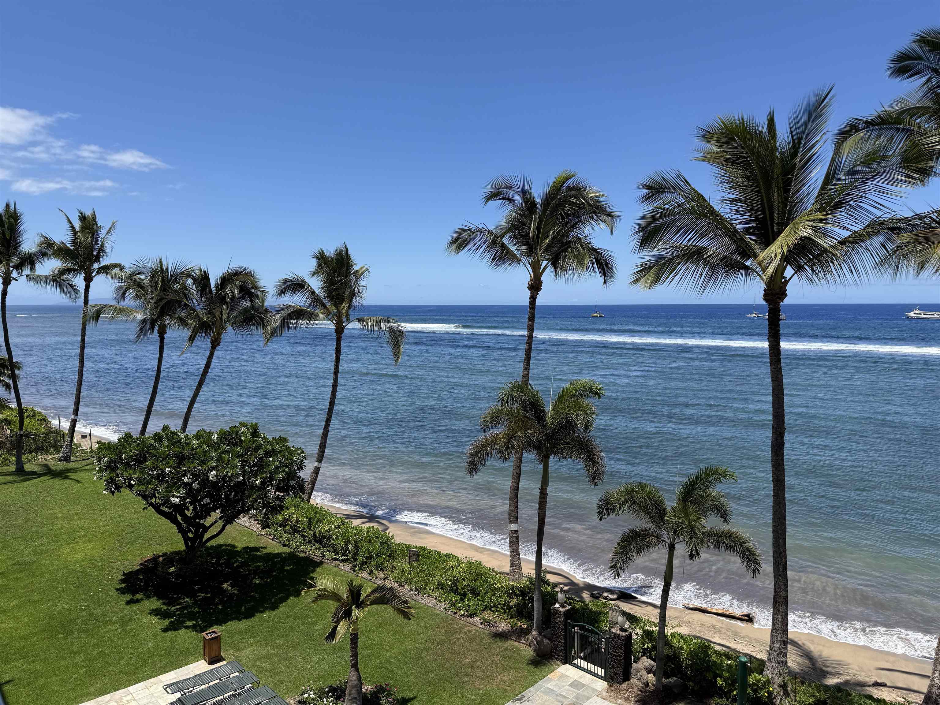 475 Front Street, Unit 419 Lahaina, HI 96761 - Photo 2 of 27 a view of a palm tree and a park