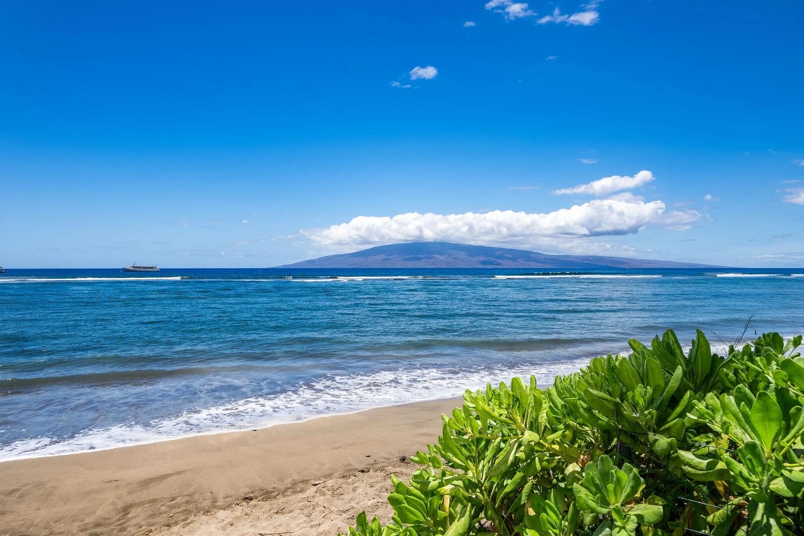 475 Front Street, Unit 419 Lahaina, HI 96761 - Photo 24 of 27 a view of a yard with an ocean view