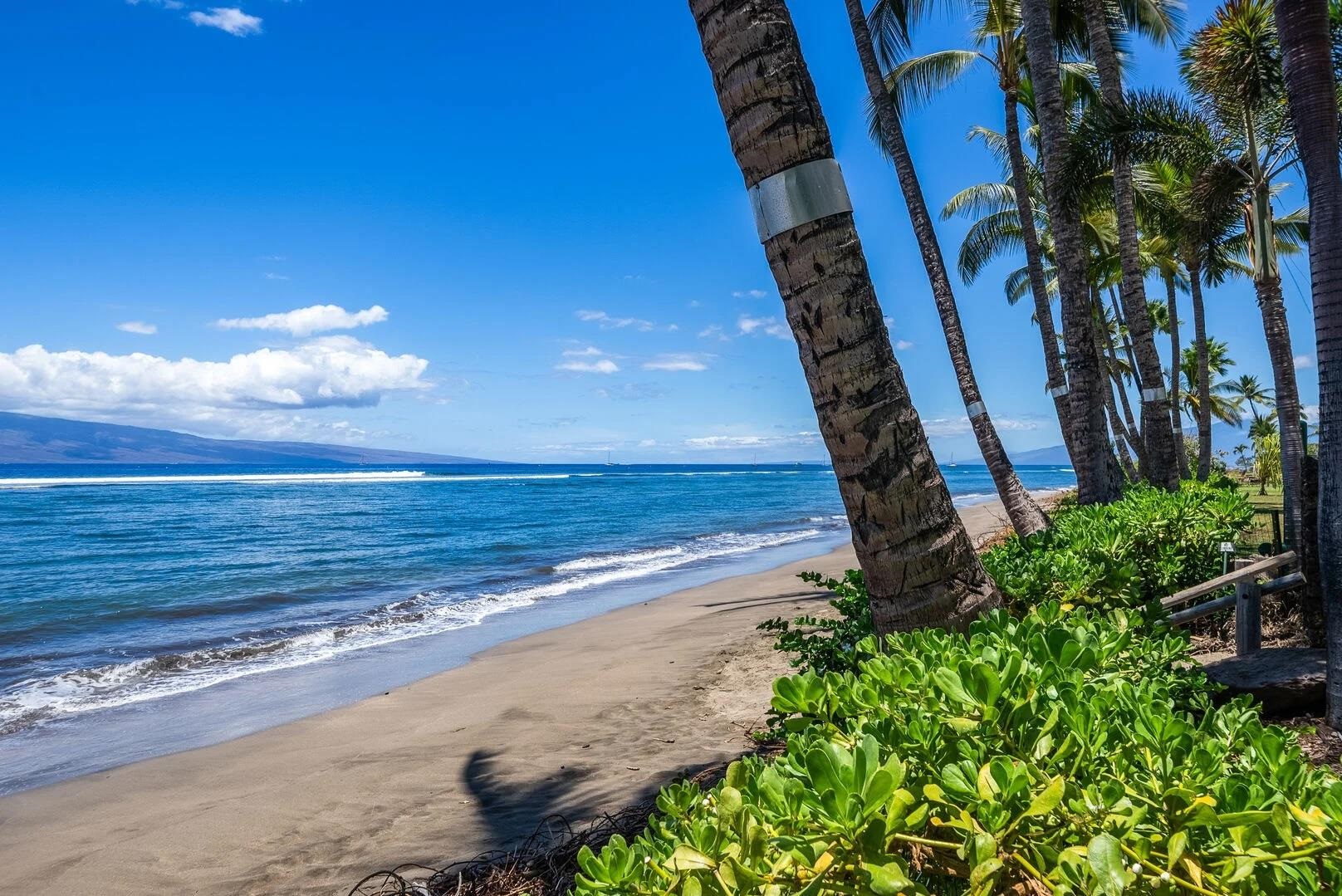 475 Front Street, Unit 419 Lahaina, HI 96761 - Photo 7 of 27 a view of a yard with an ocean view