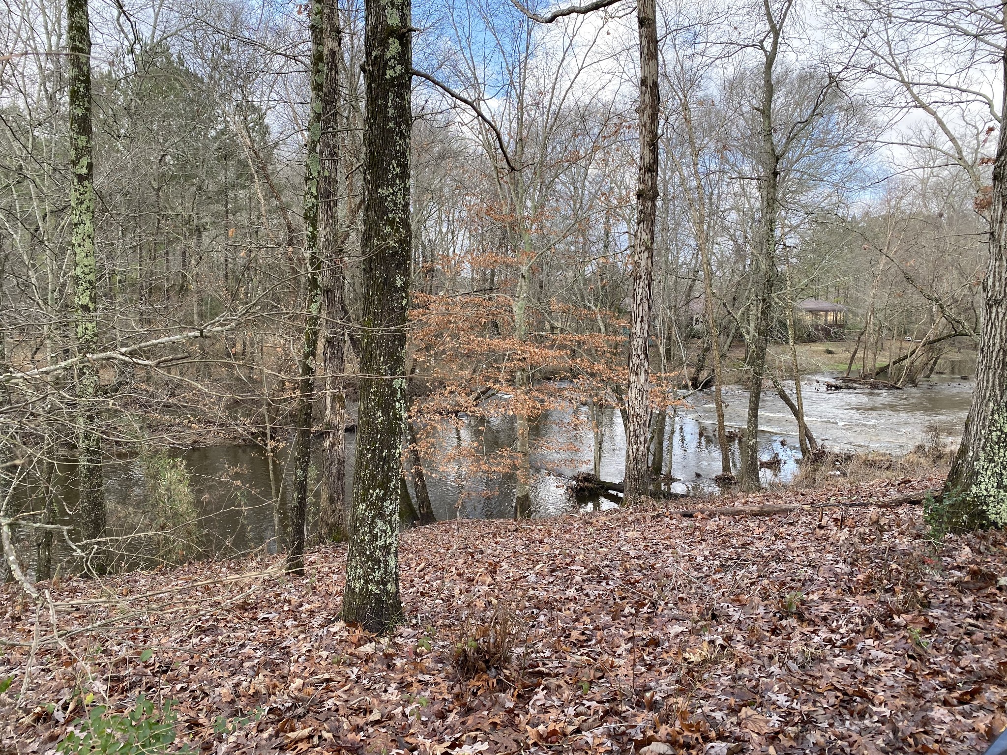 367 Duck River Road Manchester, TN 37355 - Photo 11 of 12 a view of a yard with trees