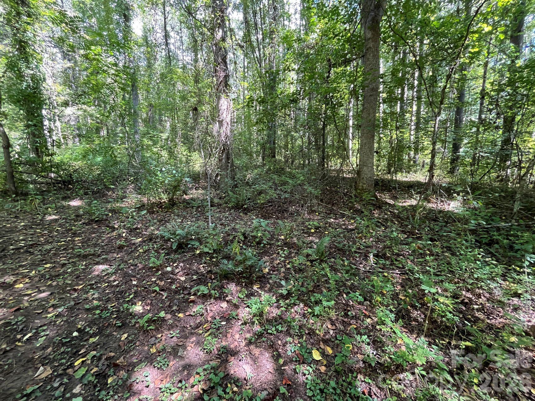 132 Hurd Road Canton, NC 28716 - Photo 40 of 43 Gallery Image 40