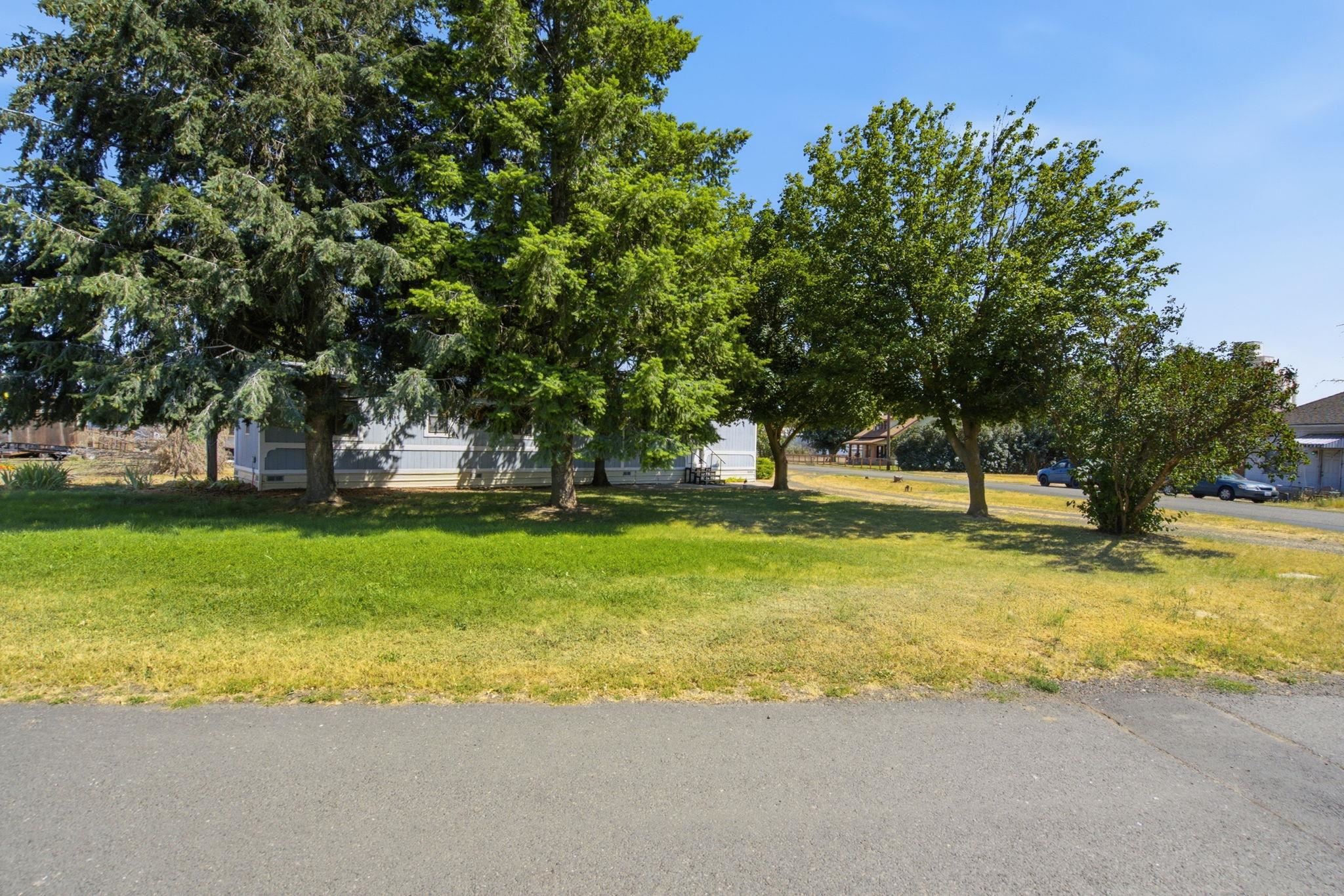 209 Clark Avenue Lacrosse, WA 99143 - Photo 4 of 48