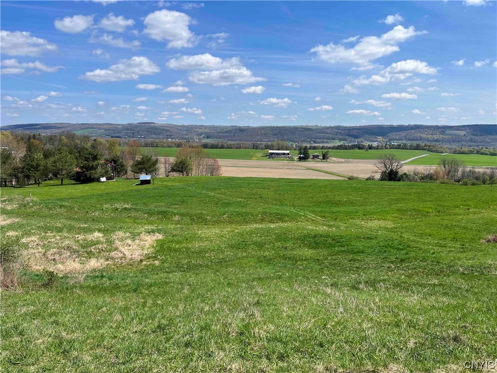 9929 State Route Arkport, NY 14807 - Photo 23 of 50