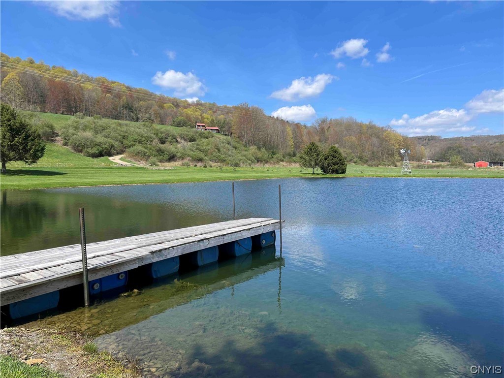 9929 State Route Arkport, NY 14807 - Photo 25 of 50