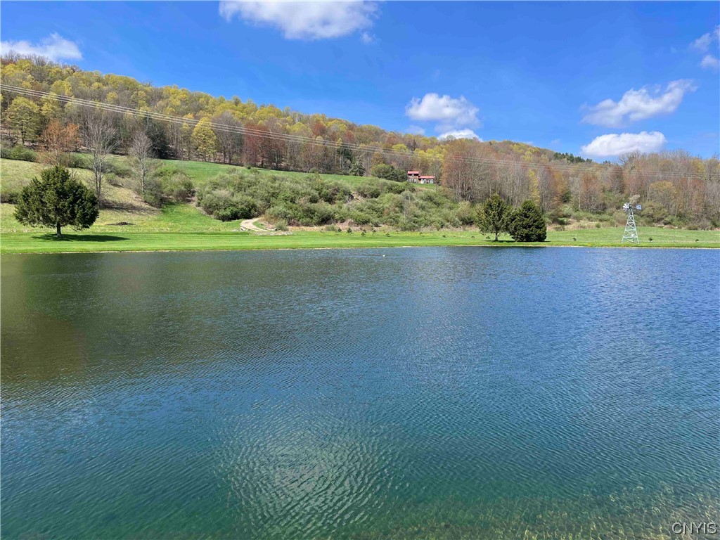 9929 State Route Arkport, NY 14807 - Photo 26 of 50