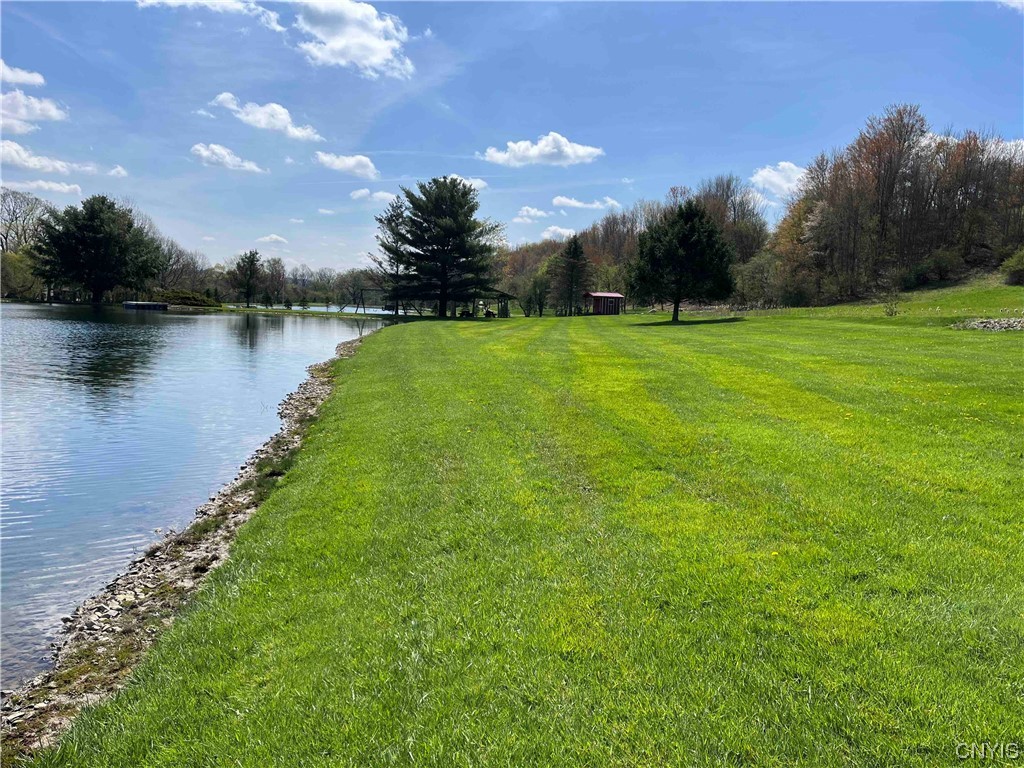9929 State Route Arkport, NY 14807 - Photo 32 of 50