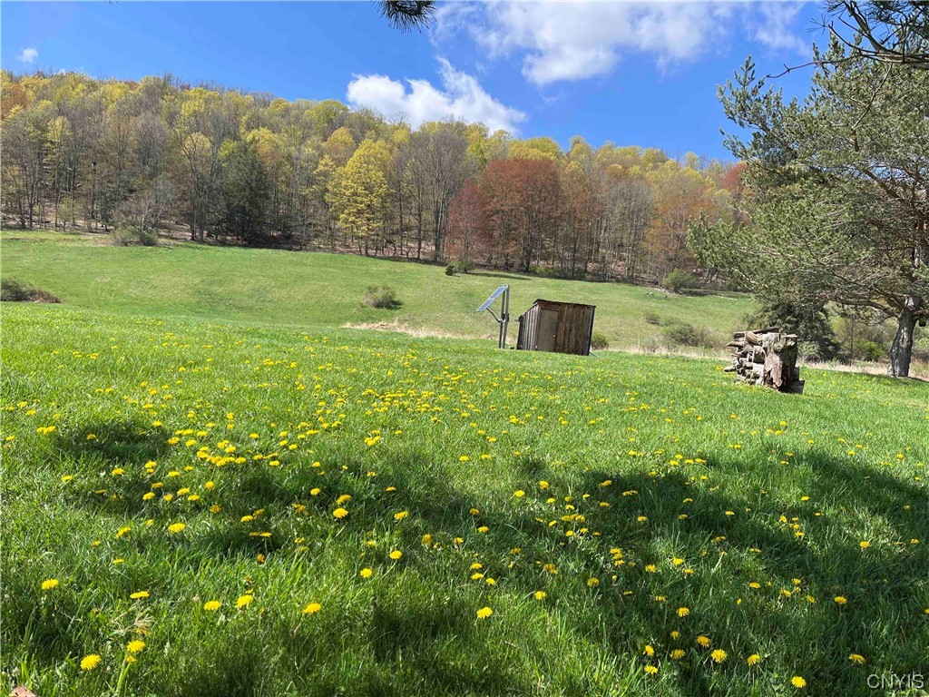 9929 State Route Arkport, NY 14807 - Photo 35 of 50