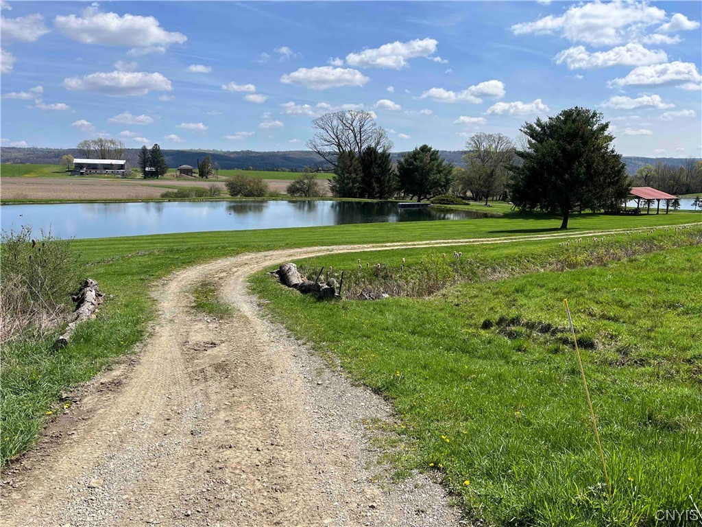 9929 State Route Arkport, NY 14807 - Photo 38 of 50