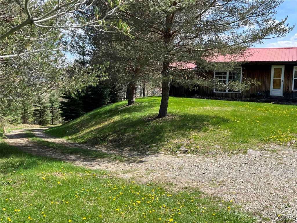 9929 State Route Arkport, NY 14807 - Photo 39 of 50