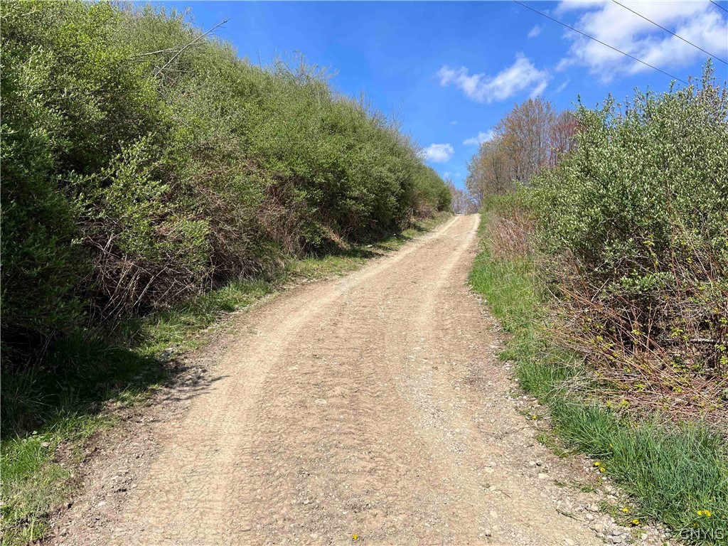 9929 State Route Arkport, NY 14807 - Photo 40 of 50