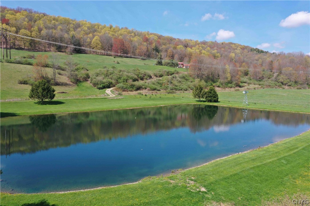 9929 State Route Arkport, NY 14807 - Photo 4 of 50