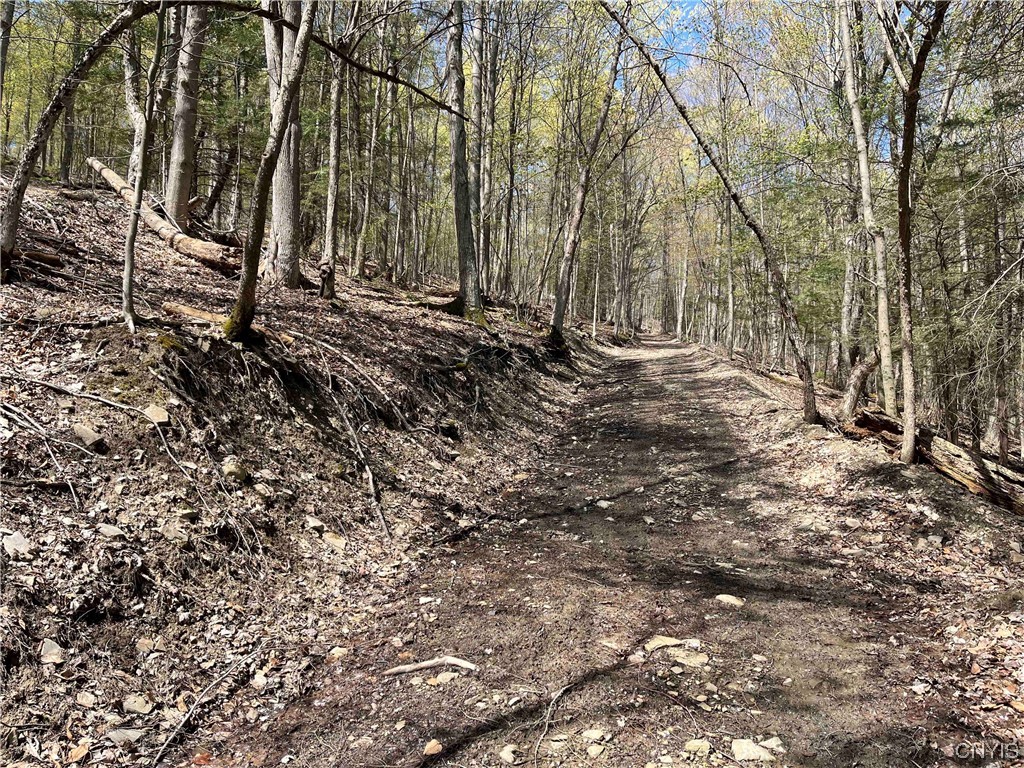 9929 State Route Arkport, NY 14807 - Photo 42 of 50