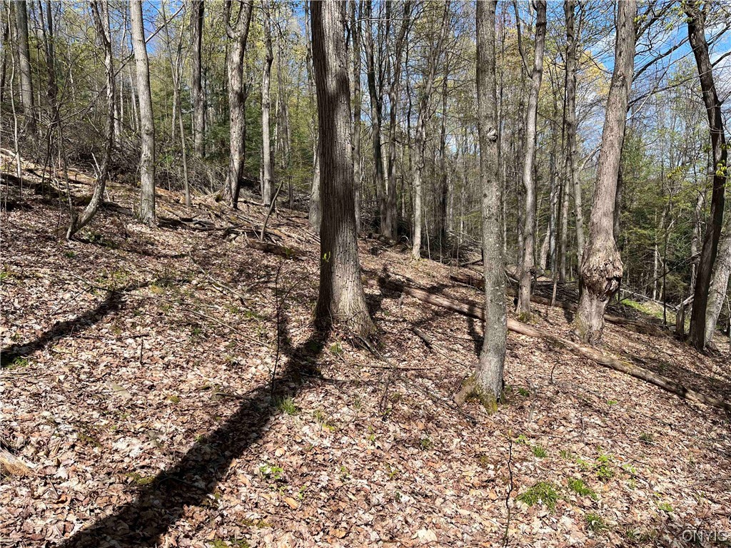 9929 State Route Arkport, NY 14807 - Photo 43 of 50