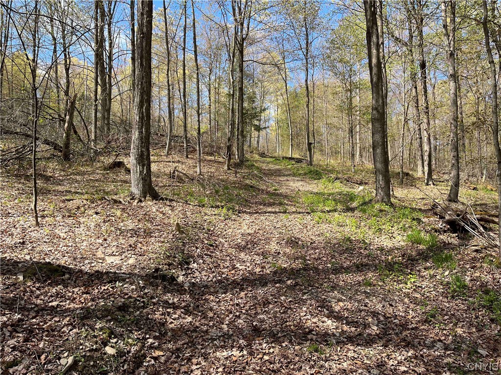 9929 State Route Arkport, NY 14807 - Photo 44 of 50